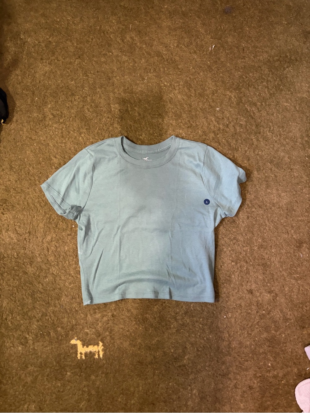 Hollister Dark Teal Tee with Pale Pink Logo